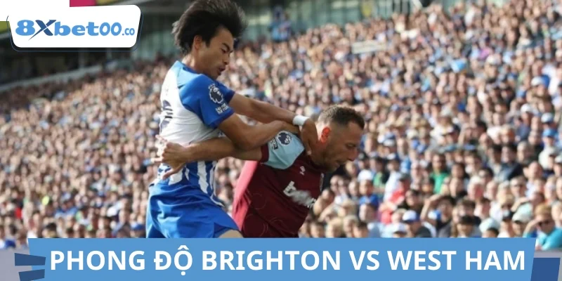 Điểm qua phong độ của Brighton vs West Ham